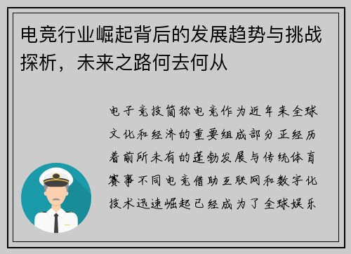 电竞行业崛起背后的发展趋势与挑战探析，未来之路何去何从
